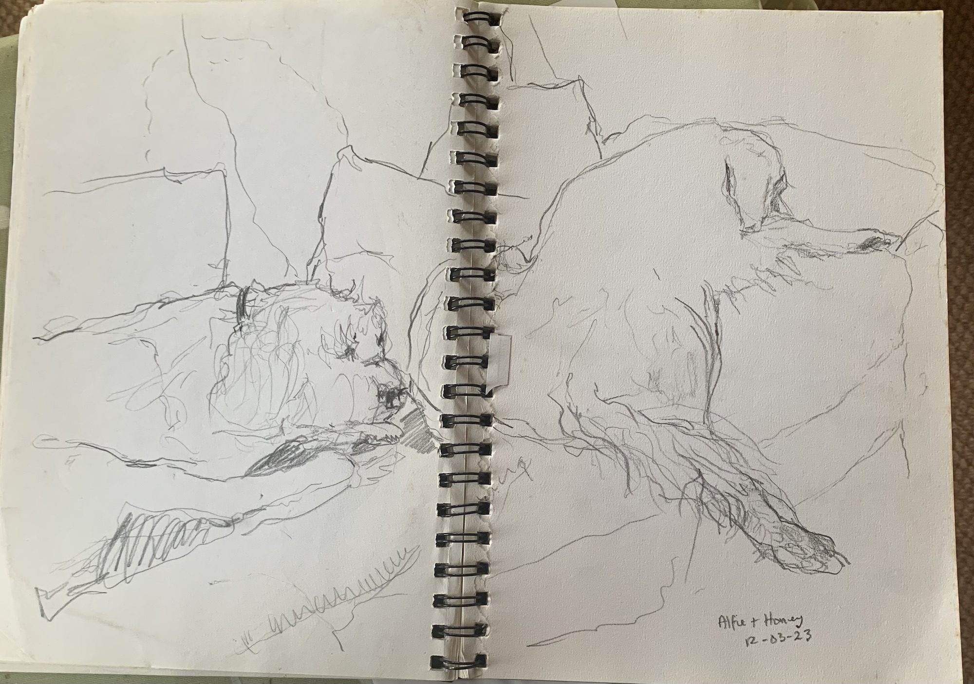 Alfie & Honey, Olivia Howe Artist