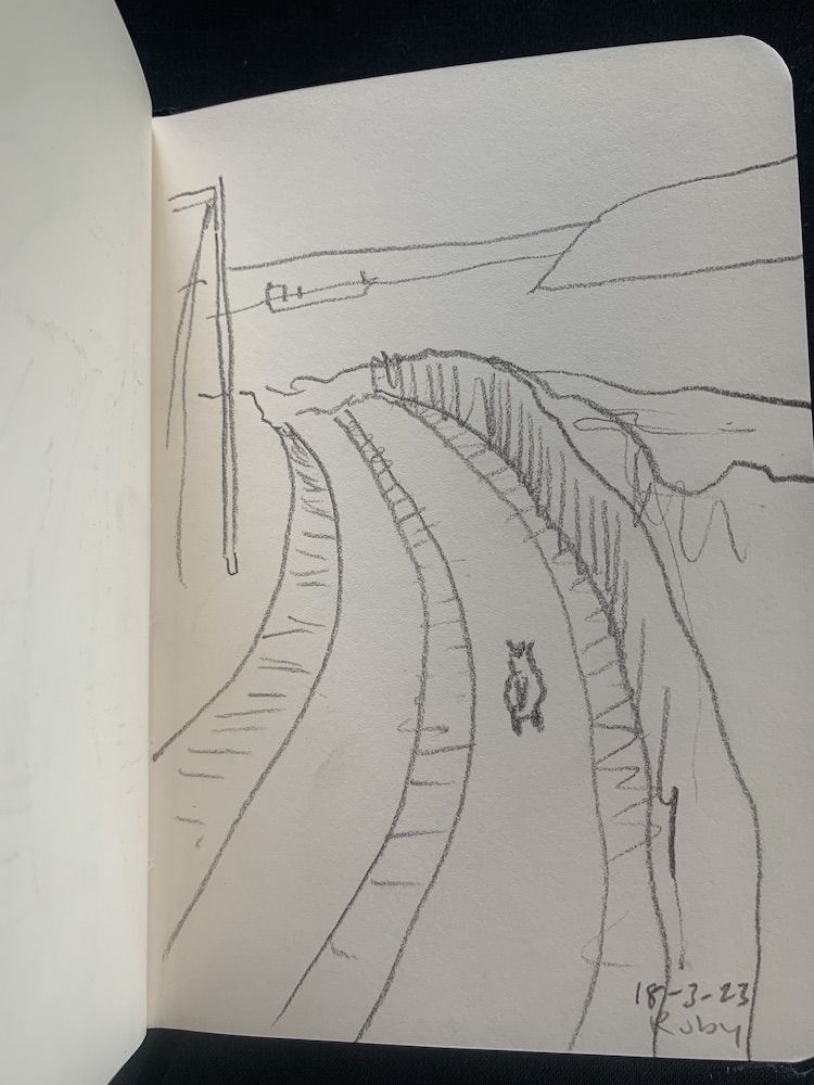 Down to the beach for a walk, Weavers Point, Olivia Howe